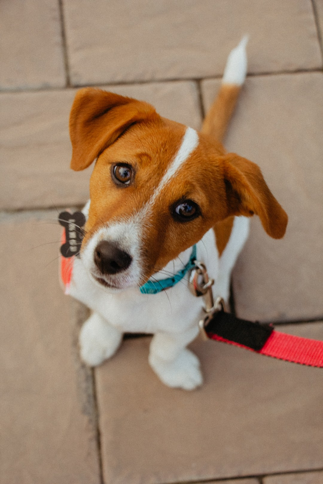 I LOVE SUPERSPORT. Романова Александра фотограф в Москве