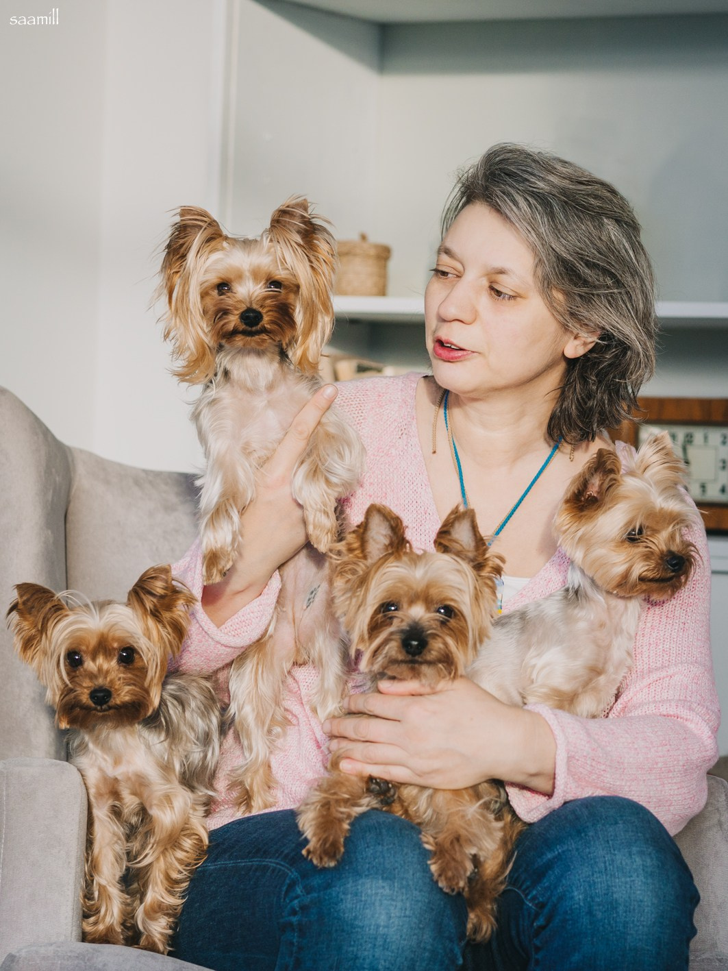 Life with dog. Saamill