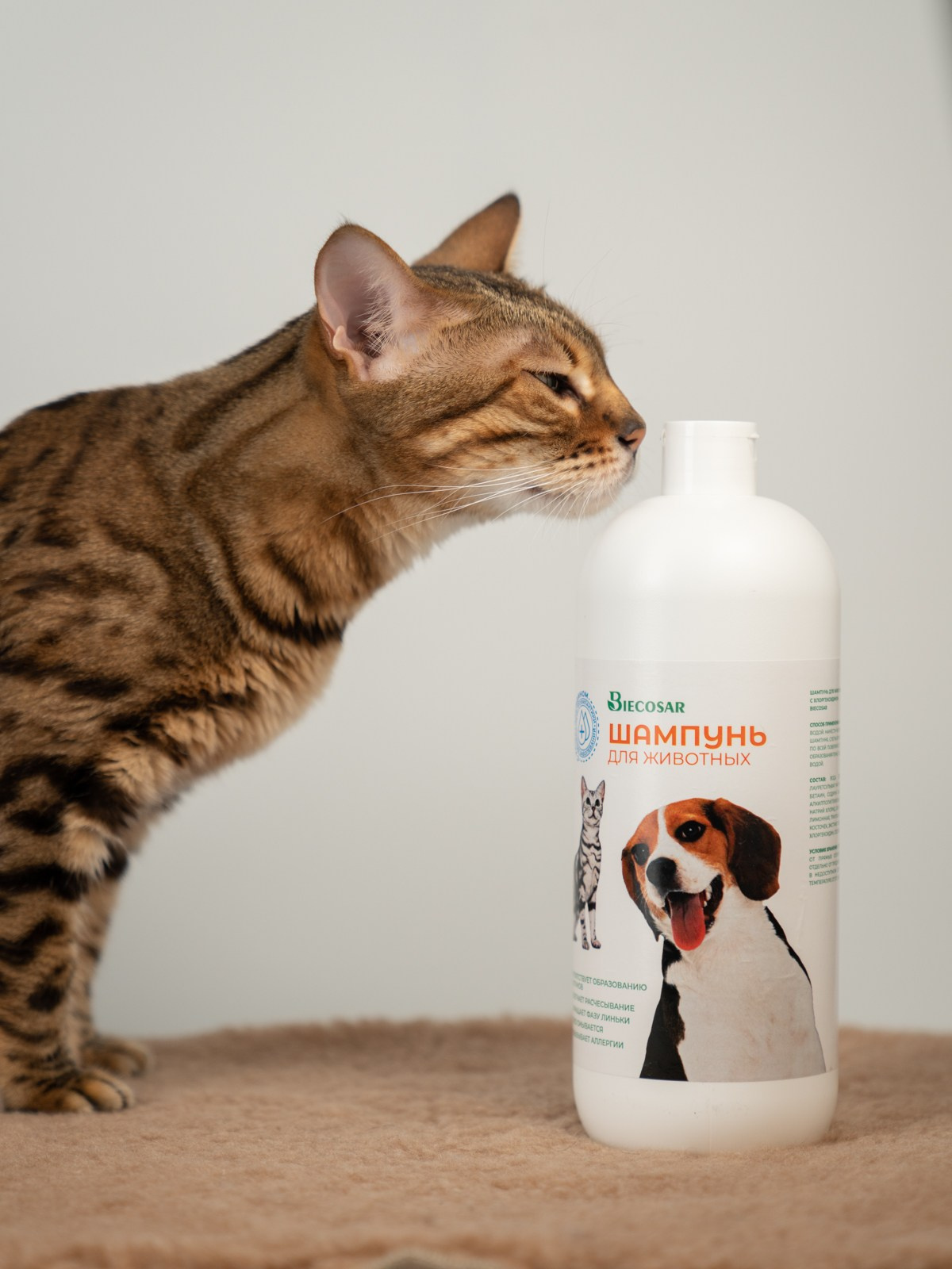 Съемки с животными. КЕД Студия-контент агентство полного цикла СПБ. Создаём фото, видео и контент, который помогает брендам и селлерам продавать больше