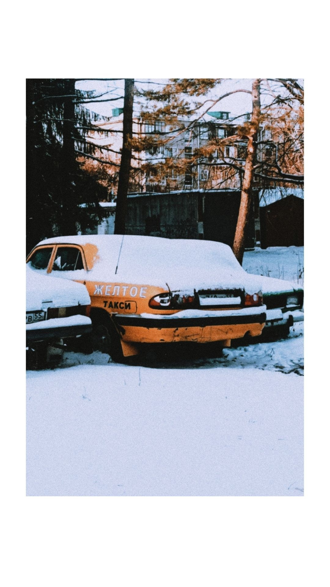 Зима по-сибирски. Главная