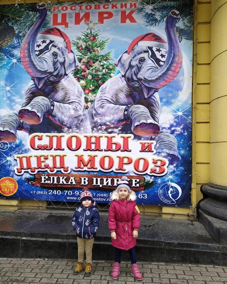 Новогоднее чудо продолжается: восторг от циркового шоу «Слоны и Дед Мороз»