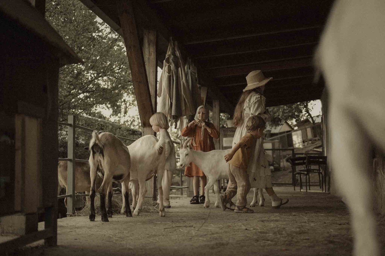 Ферма. Главная