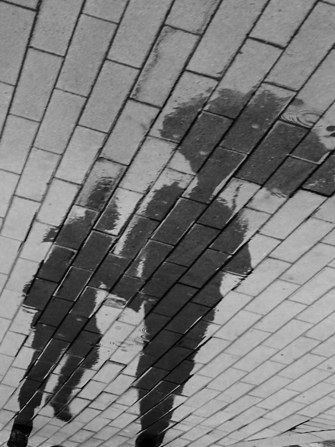 Black and white look. Фотограф