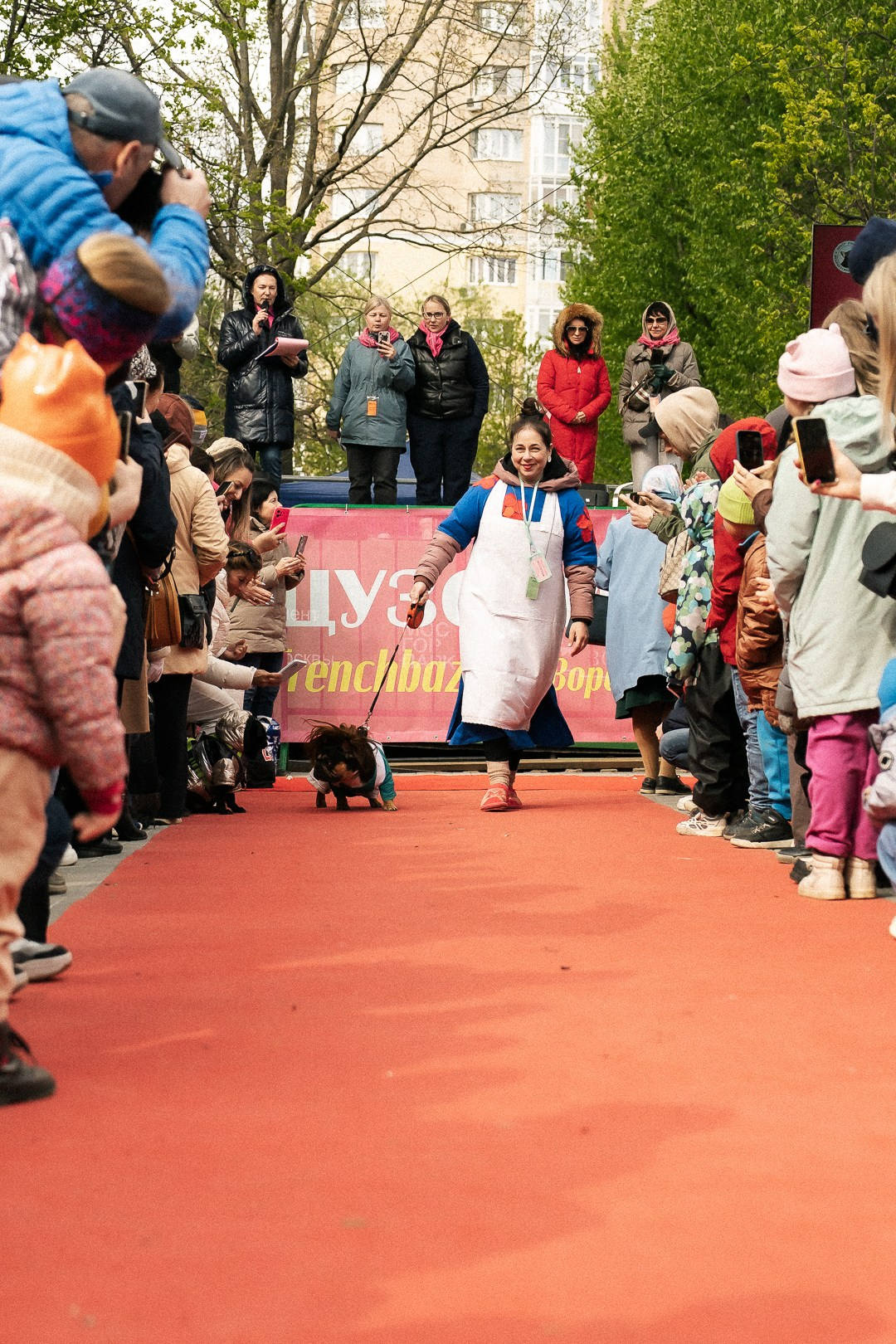 Парад Бульдогов. Axenov_eugene