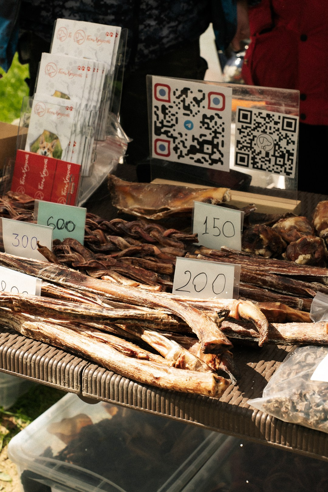 Парад Бульдогов. Axenov_eugene