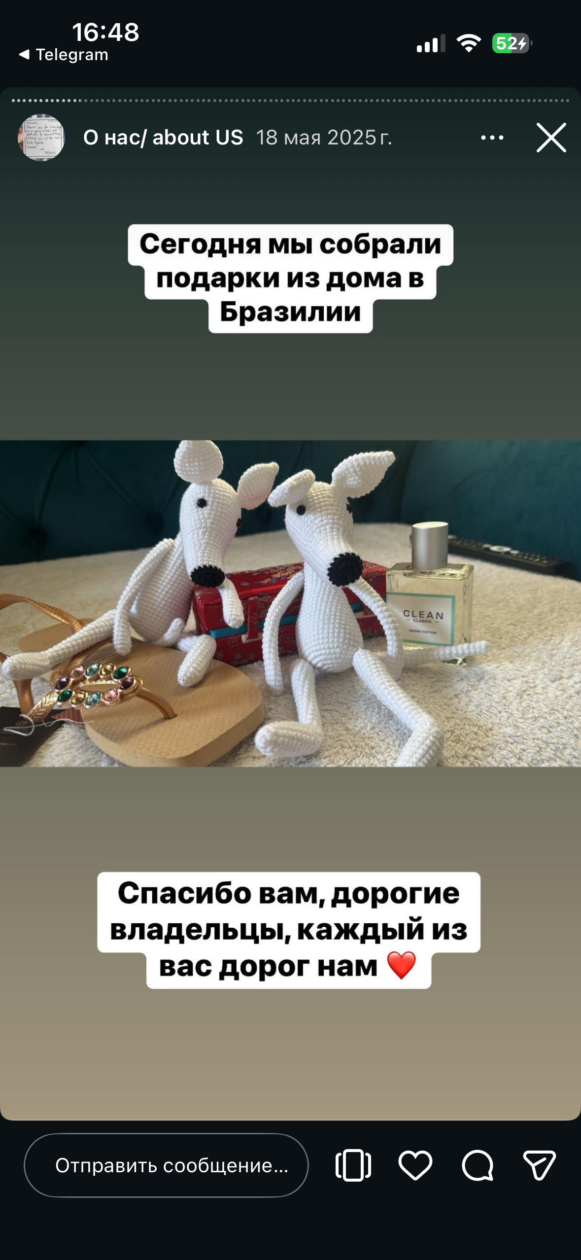 Отзывы от наших любимых владельцев. Профессиональный питомник левреток РКФ/FCI ASTI SAPPHIRE 💎 Сочи|Санкт-Петербург