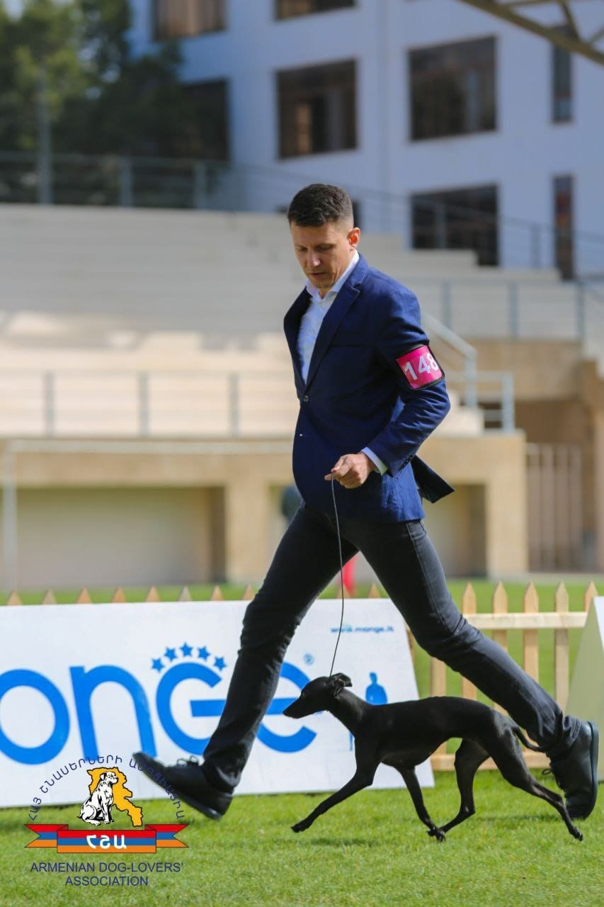 Черный бриллиант. Профессиональный питомник левреток РКФ/FCI ASTI SAPPHIRE 💎 Сочи|Санкт-Петербург