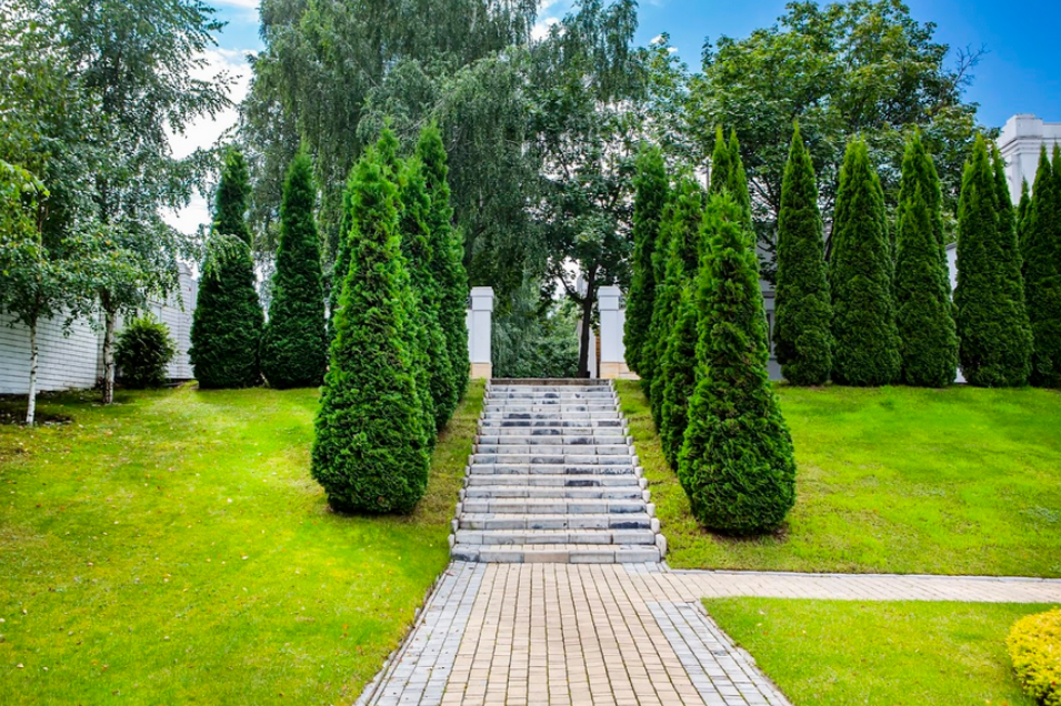 Площадка № 1-8. Свадебный организатор Москва