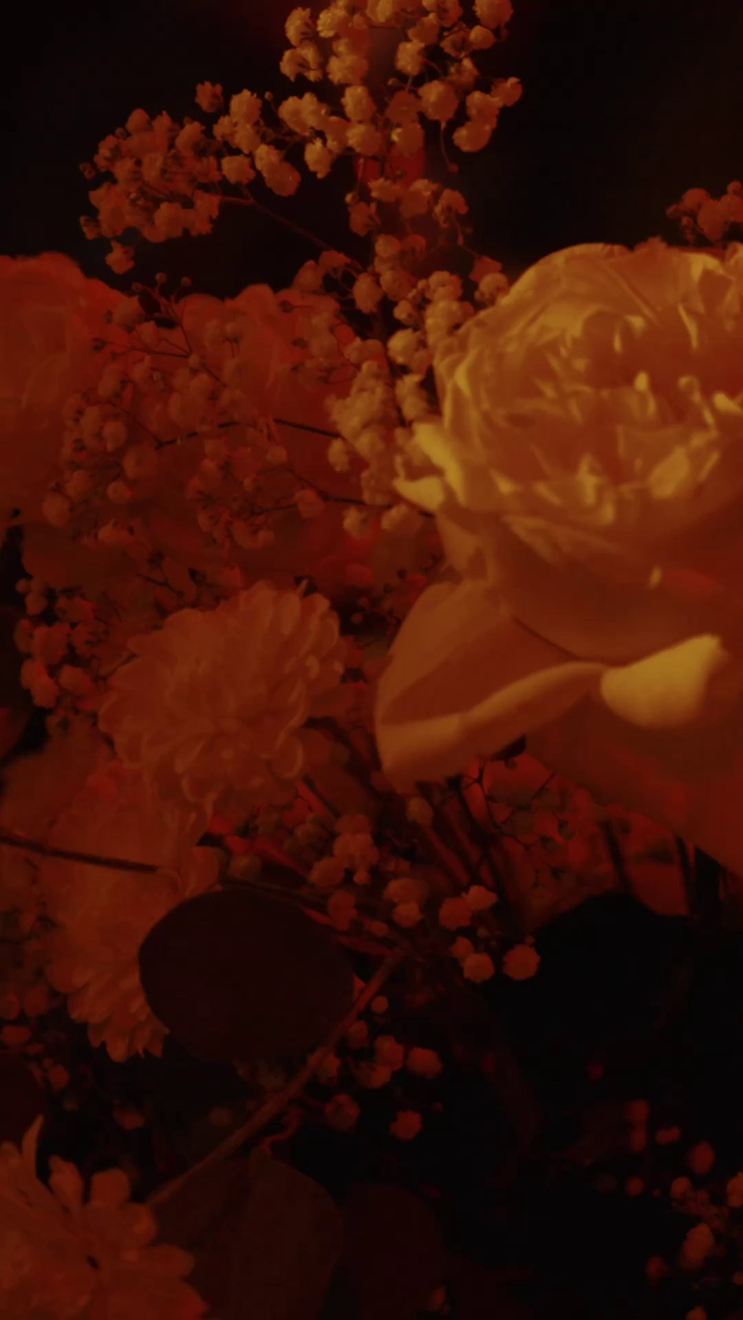 Reels. Видеосъемка в Красноярске. Свадебный видеограф