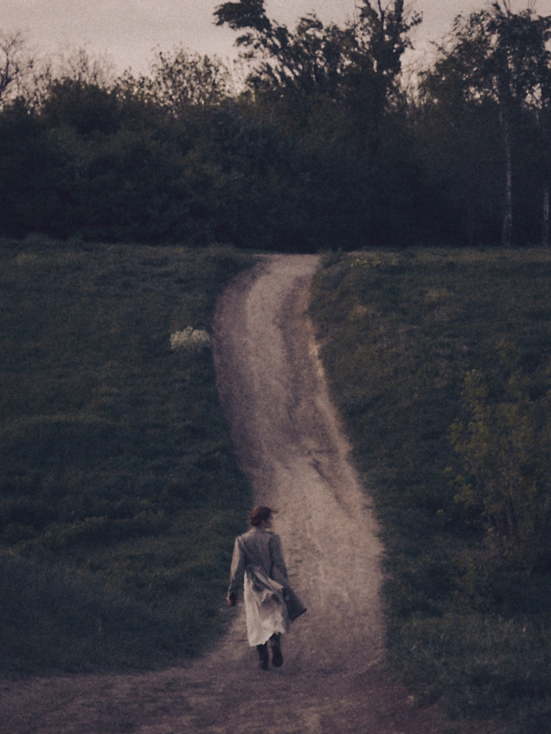 Виолетта Скрипка