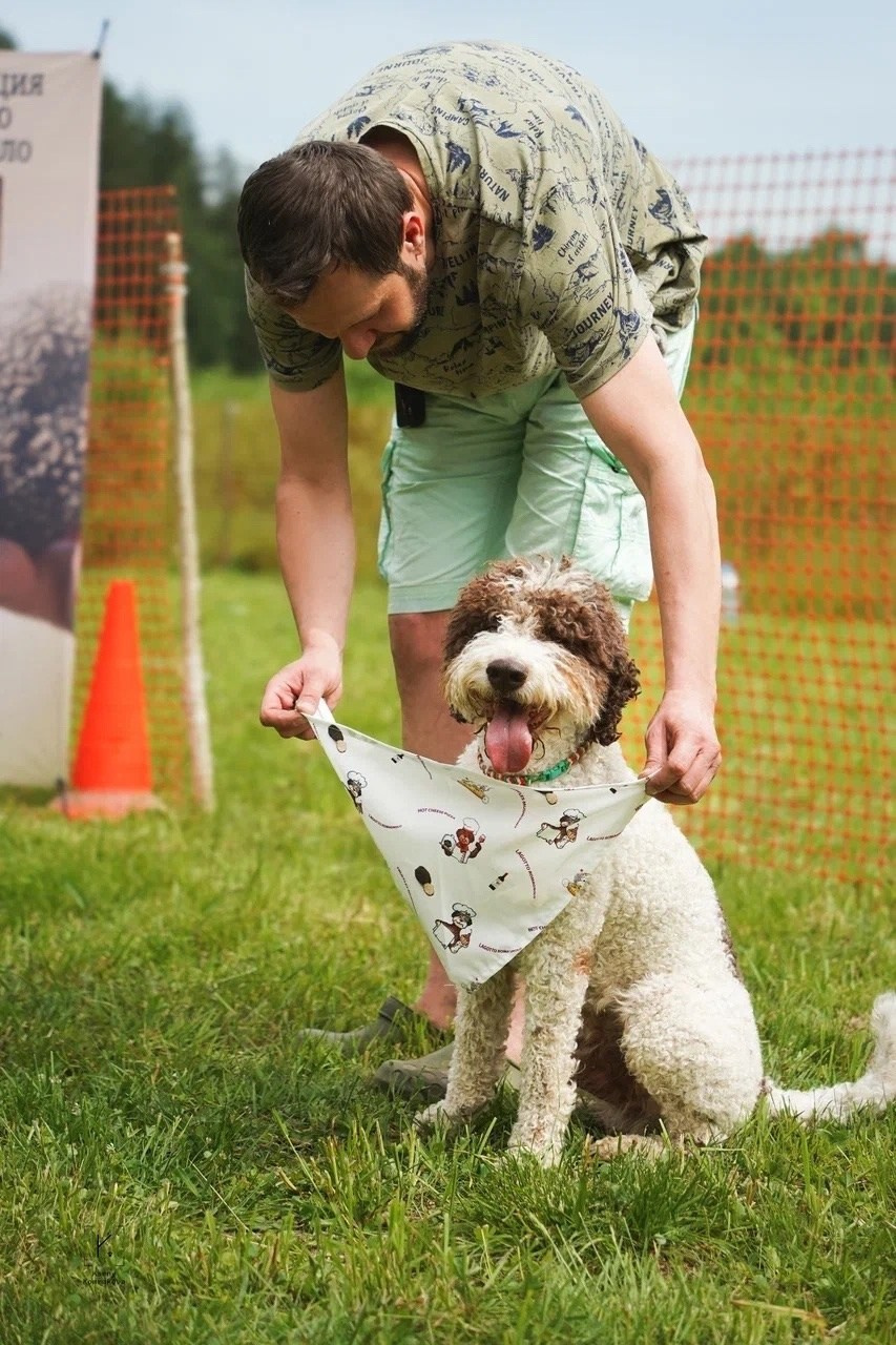 Репортажная фотосъемка. Анималистика. Репортаж. Индивидуальная съемка