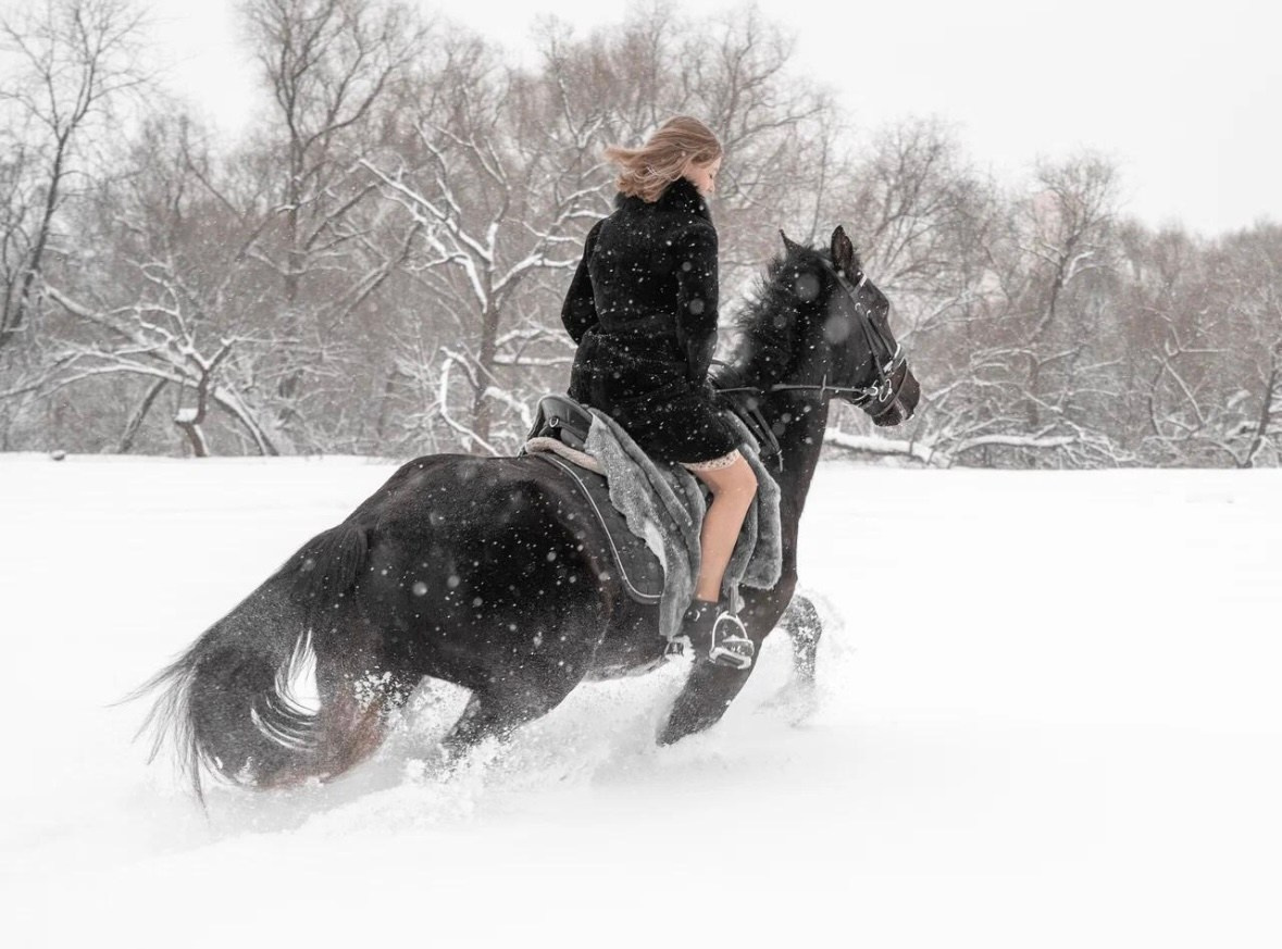 Лошадки зима. Фотограф Зинаида Евдокимова