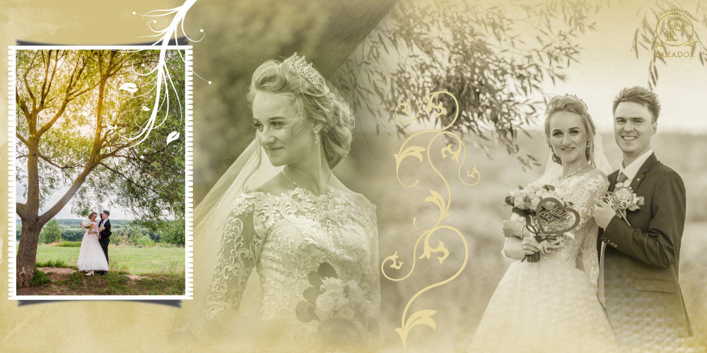 Свадьба Таисии и Дмитрия (фотокнига). Фотограф Сологуб Алексей Семенович