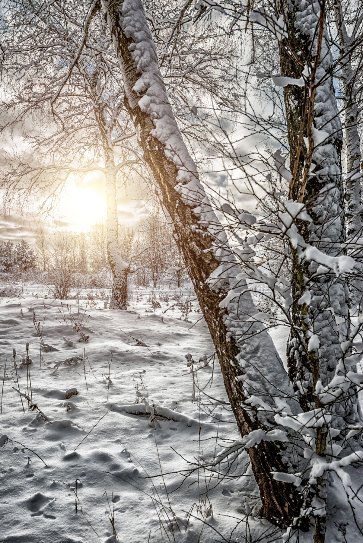 Пейзажи. Фотограф Сологуб Алексей Семенович