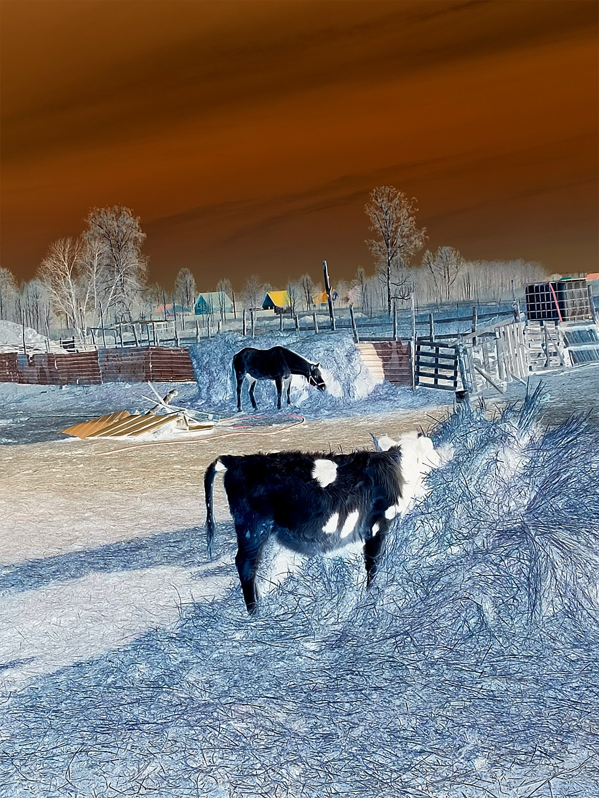 Инверсии. Выставка. Фотограф Новосибирск. Каталоги, портреты, портфолио