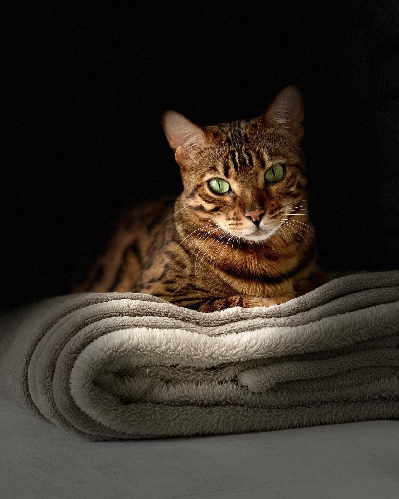 Портфолио. Фотограф в Москве Александр Кутявин