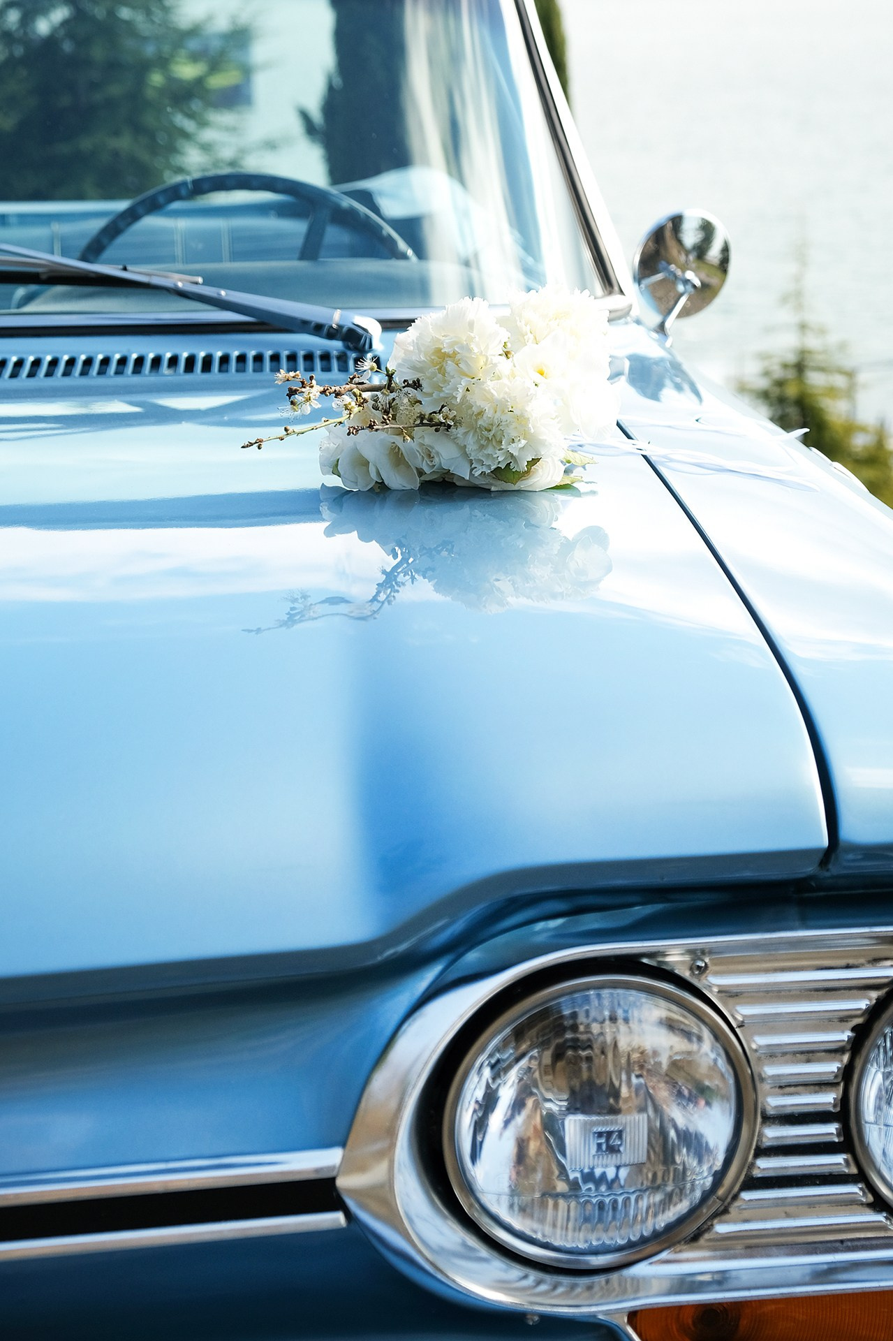 Alex & Luka. Свадебный и семейный фотограф Ксения Тараканова г. Иваново