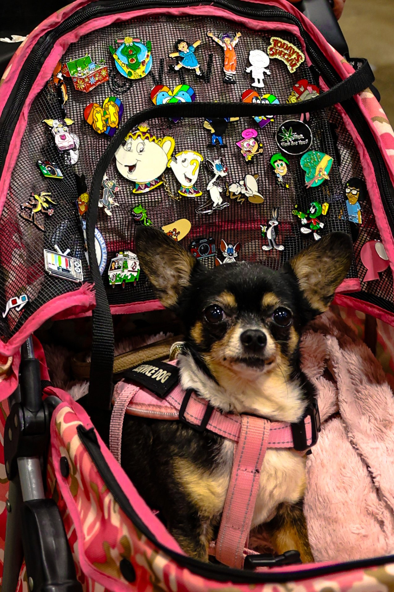 Comicon 2025. Portrait photographer based in Toronto — Blinova Mariia