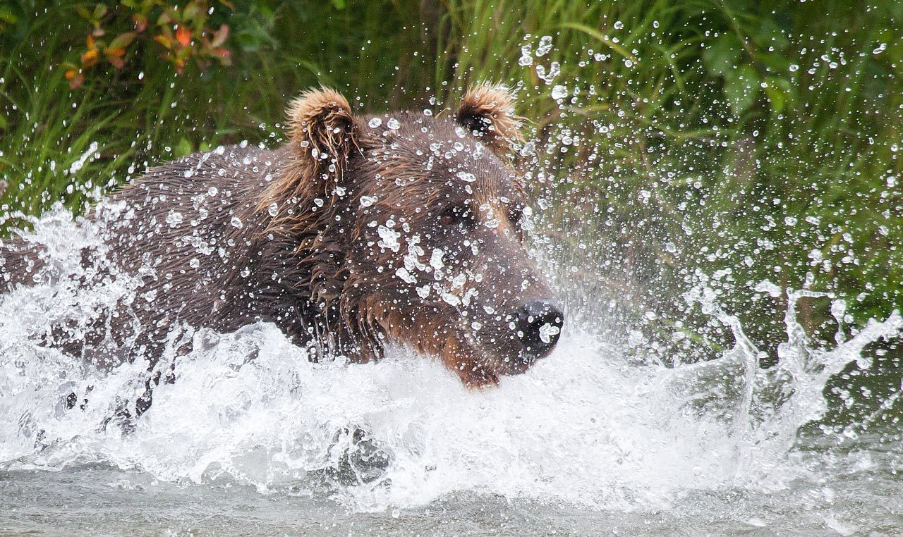 Разное. Yuri Ovchinnikov Photography, St. Petersburg, landscape photography