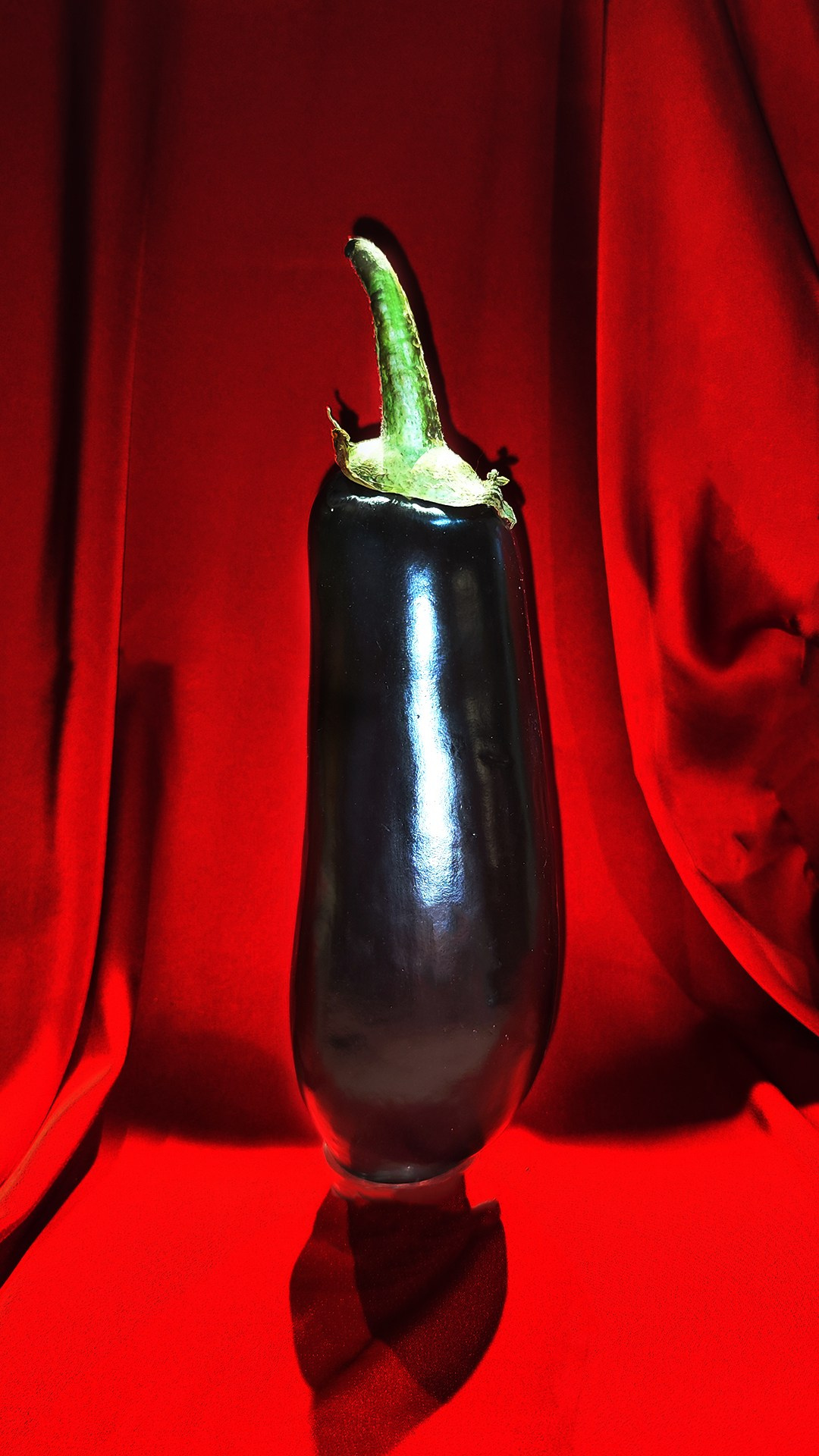 art, artist, photo, photography, photographer, contemporary art, talent, picture, pop art, gallery, фотограф, фотография, творчество, художник, рекламная съемка, творческая съемка, современное искусство, соврисск, совриск, современная фотография, творческая фотография, картины, попарт, поп арт, фото проекты, photo project, bag, сумка, cover song, обложка для музыкального альбома, обложка для книги, постер, картина