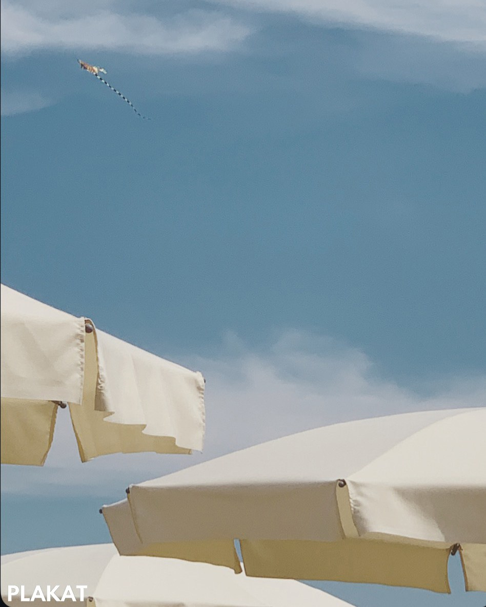 @@ilde_lemiecalzetterosa