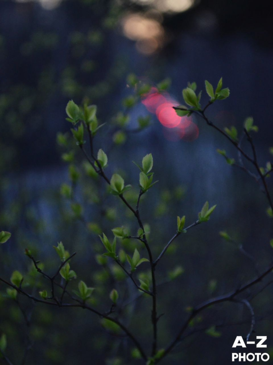 #ФОТОНЕДЕЛИ 13.04.2026. Женский семейный фотограф Тула Москва Захарова Анна