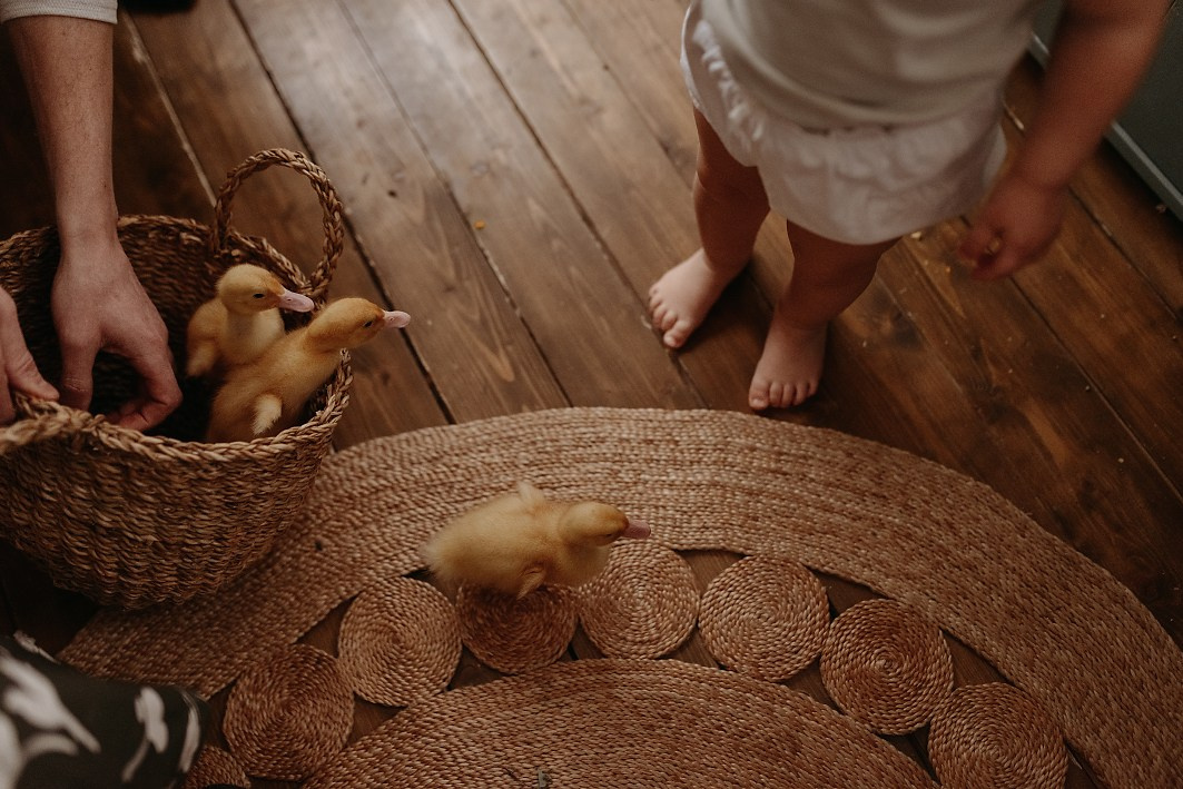 Фотосессии с утятами. Семейный фотограф в Москве Екатерина Денисенко | Фотосессии без постановки дома и в студии