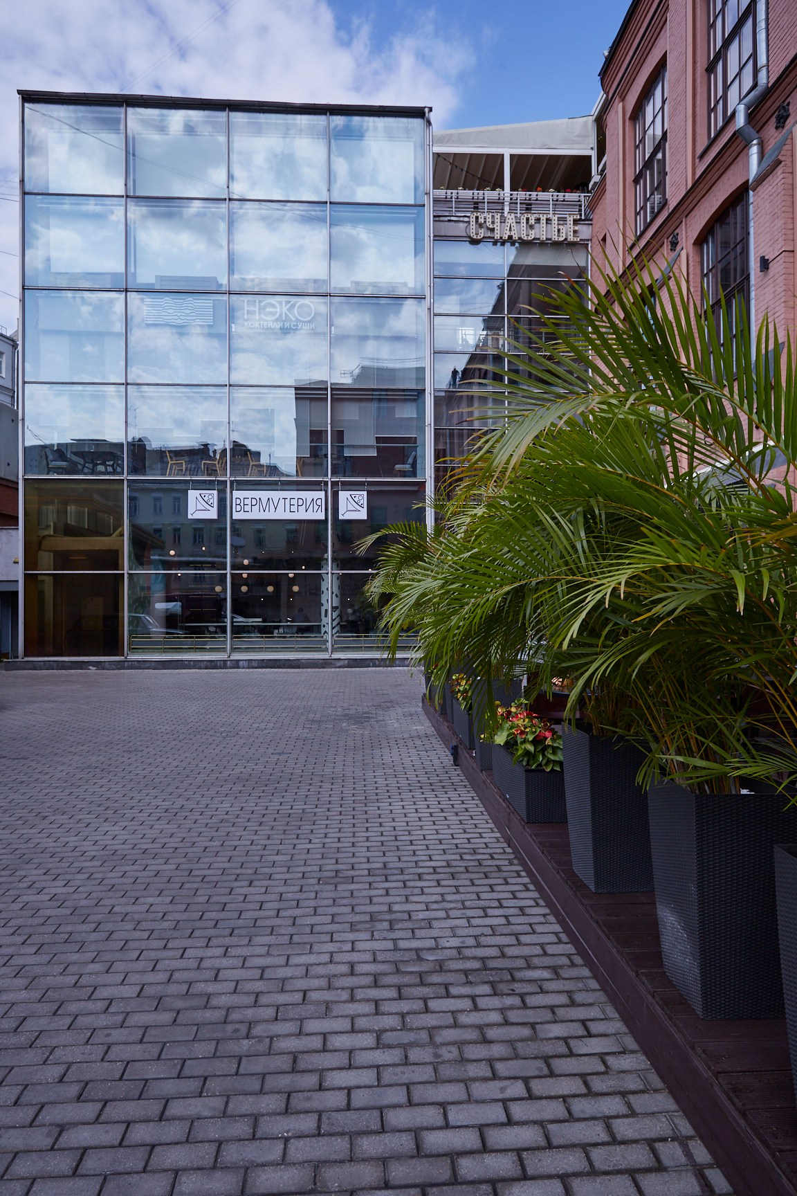 Вермутерия 1. Lena Smi is an interior and portrait photographer. Moscow and St. Petersburg