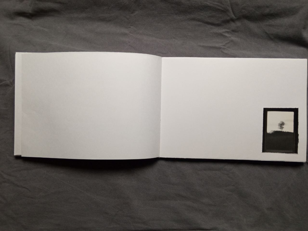 Максим Юданов | Деревья, трава и камни. Private image