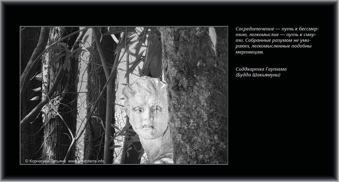 Совет дня — ориентир. Татьяна Корчагина. Фотограф, художник. Обучение фотографии