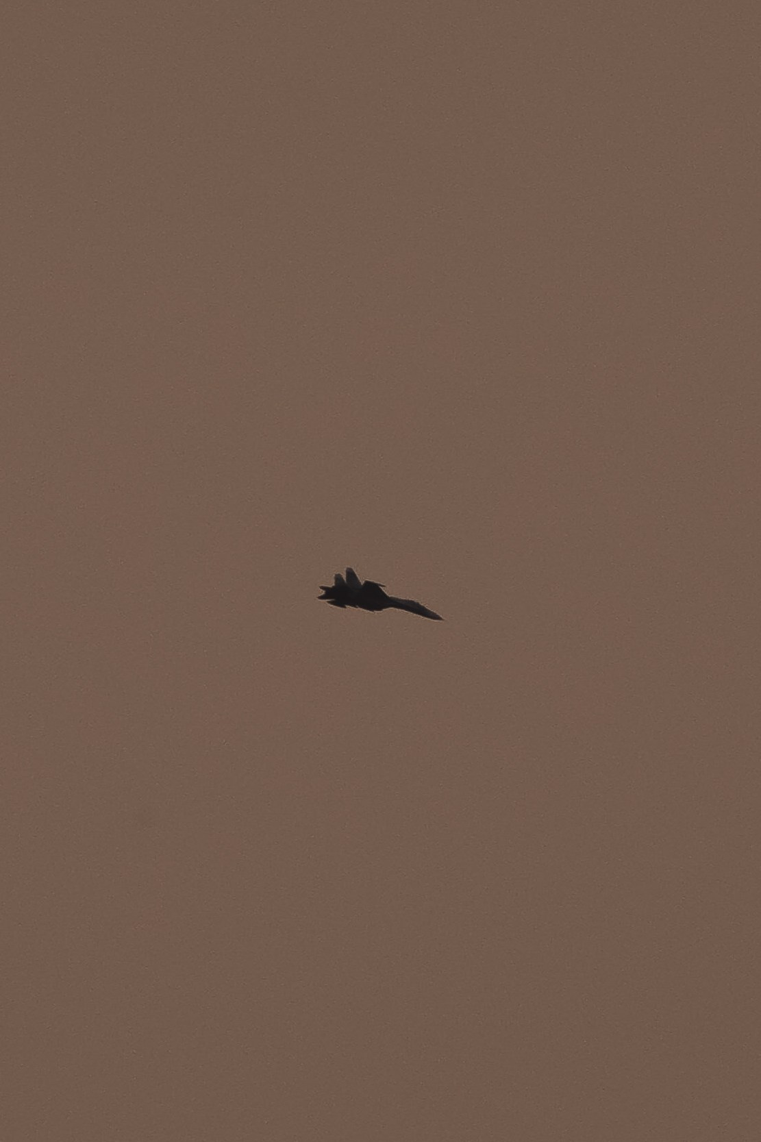 С Е П И Я. — Digital Noise —