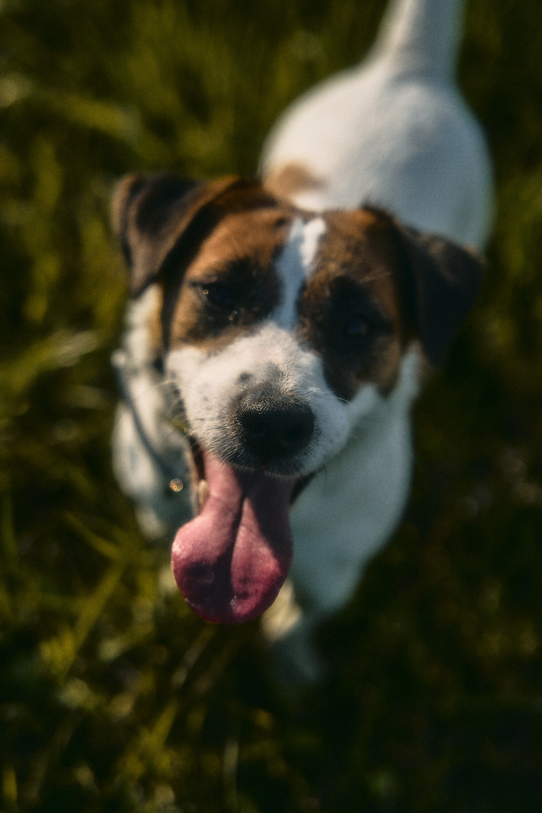 Катя, Миша и Вия. Фотограф в Санкт-Петербурге | Аня Маленчук