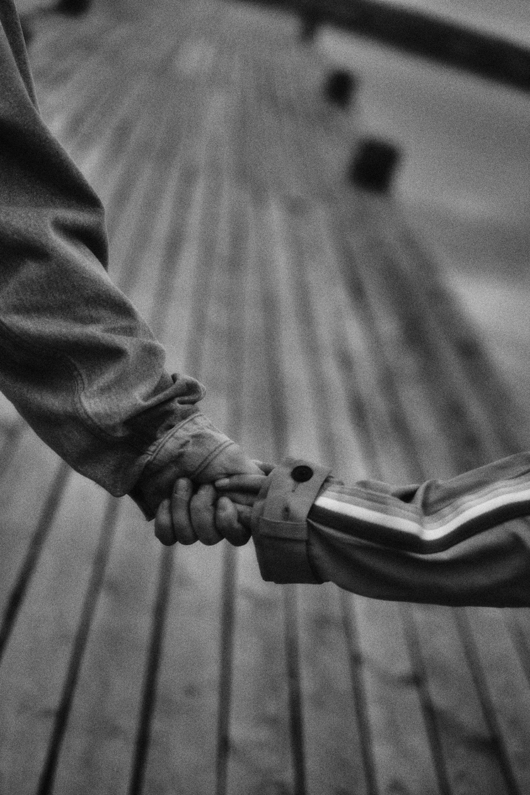 Катя, Миша и Вия. Фотограф в Санкт-Петербурге | Аня Маленчук