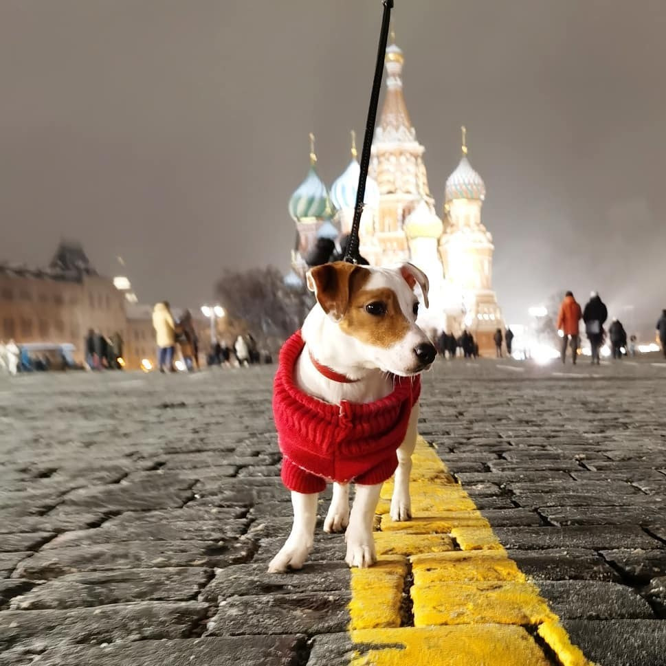 Anka`s Instagram. Заставка