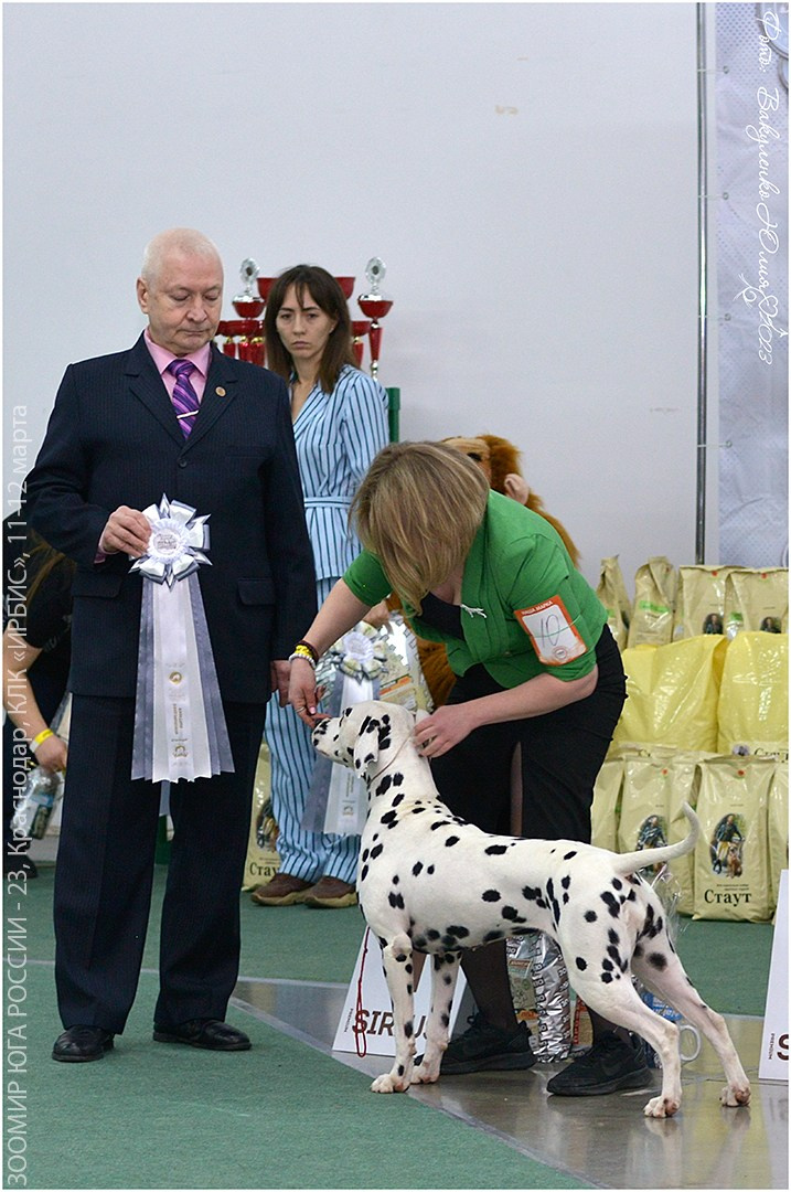 Репортаж. Фотограф анималист | семейный Юлия Вакуленко, г. Краснодар