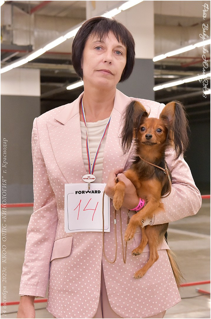 Репортаж. Фотограф анималист | семейный Юлия Вакуленко, г. Краснодар