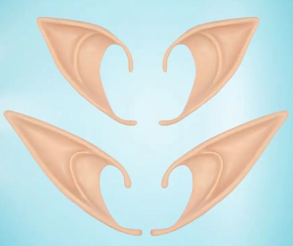 Платья в прокат. Фотограф Санкт-Петербург