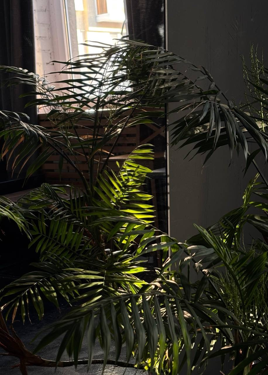 Фотостудии г.Липецк. Фотограф Екатерина Лёвушкина