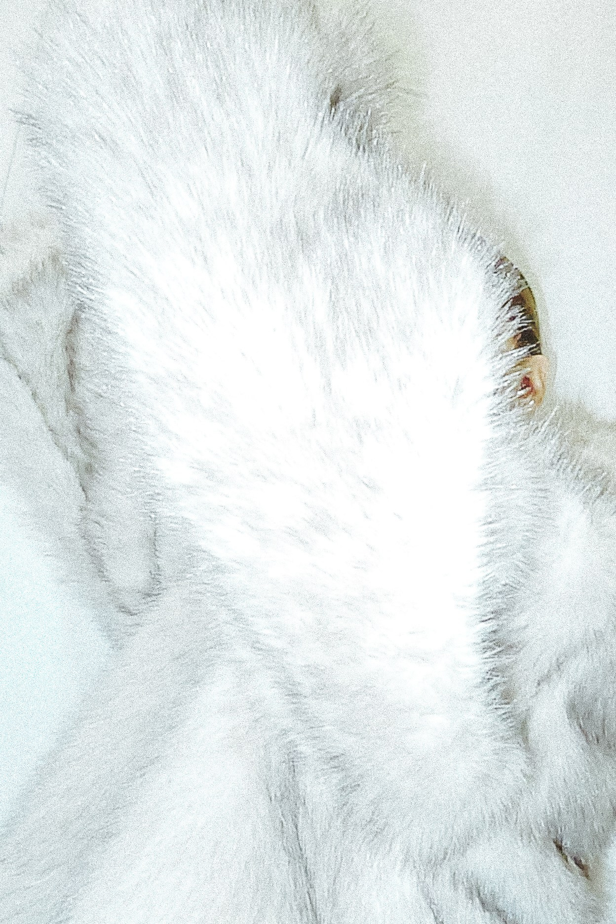 Happy Birthday. Girl!. <3