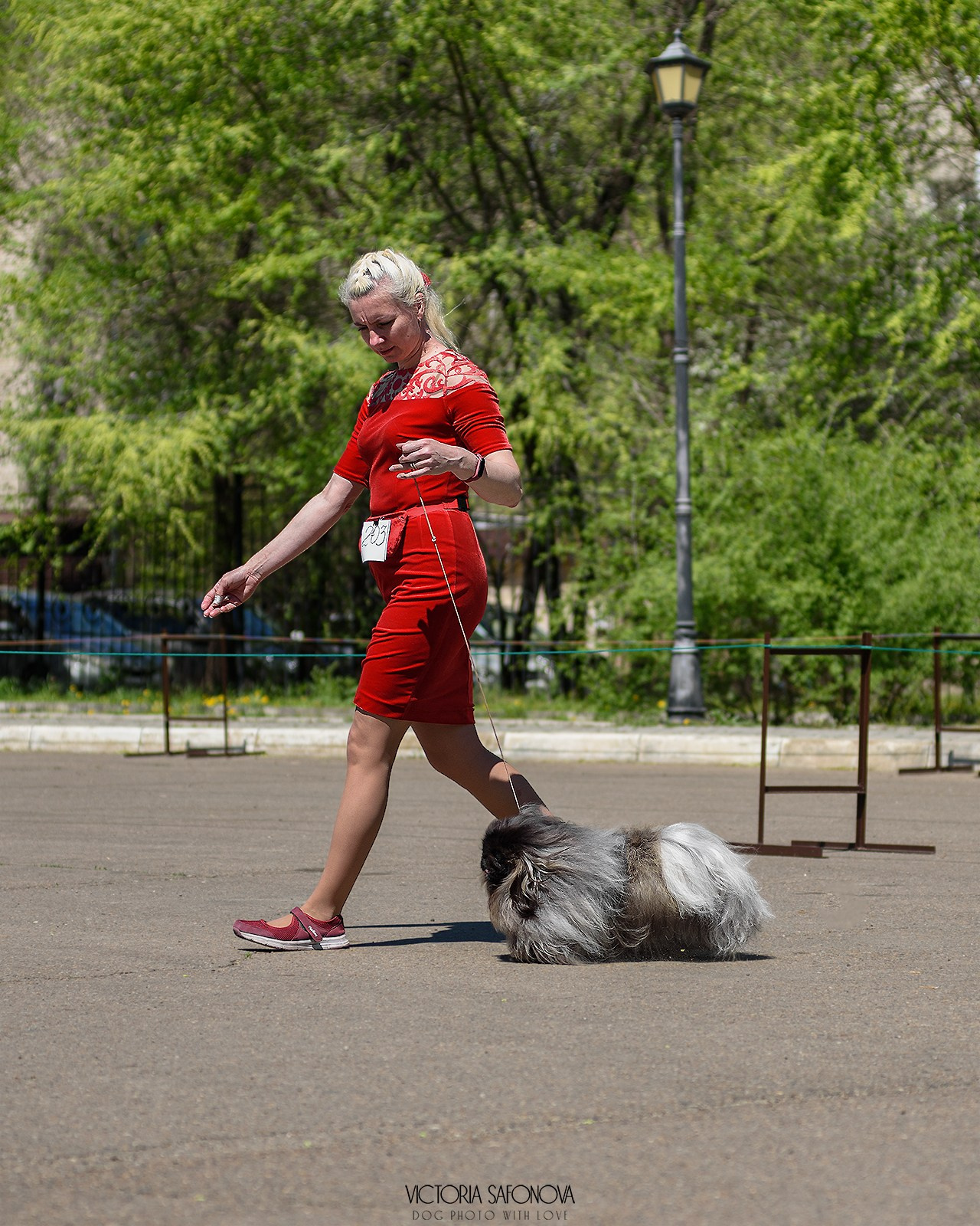 18–19 мая 2024 Благовещенск. Фотограф анималист Благовещенск. Сафонова Виктория