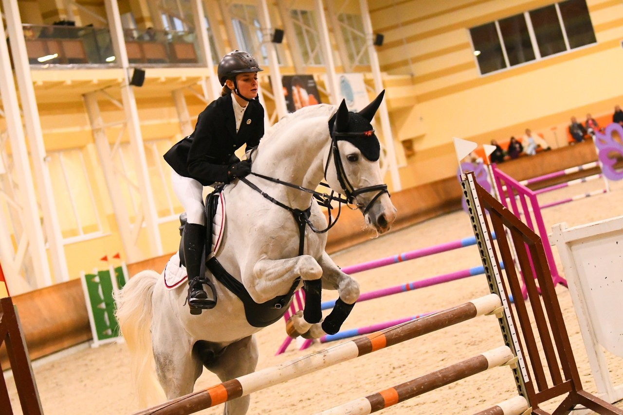 Отзывы. ТУРНИРНАЯ КОННАЯ ФОТОГРАФИЯ, Руднева Ольга и Евгений Адеев