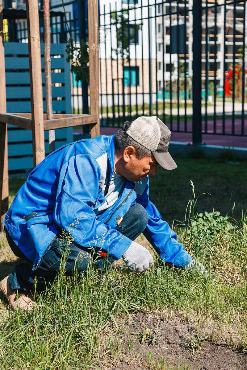 БИЗНЕС КОНТЕНТ. АЛЕКСАНДР ФОКС