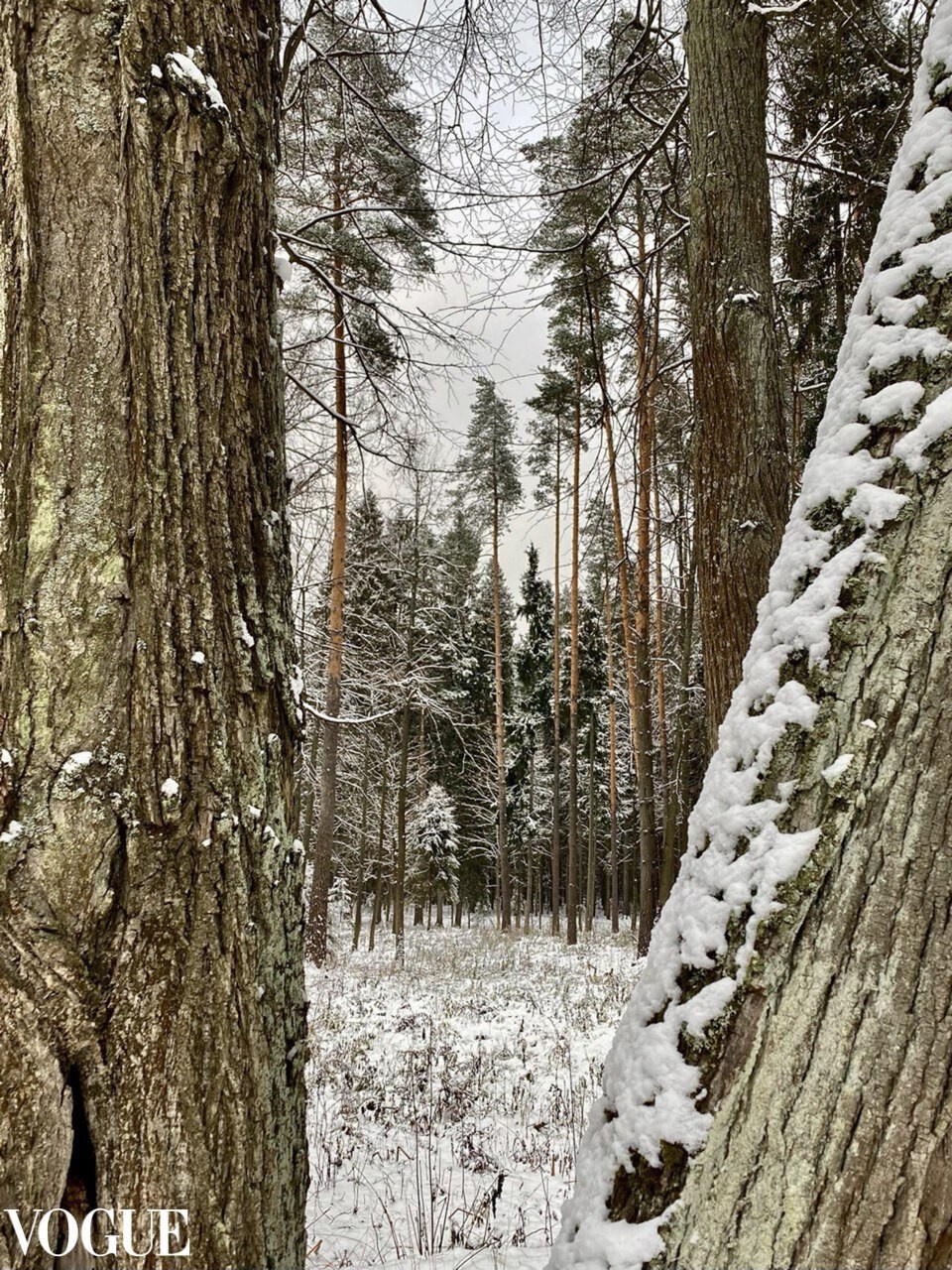 Цифровые платформы. Арт-фотограф Ксения Якутович