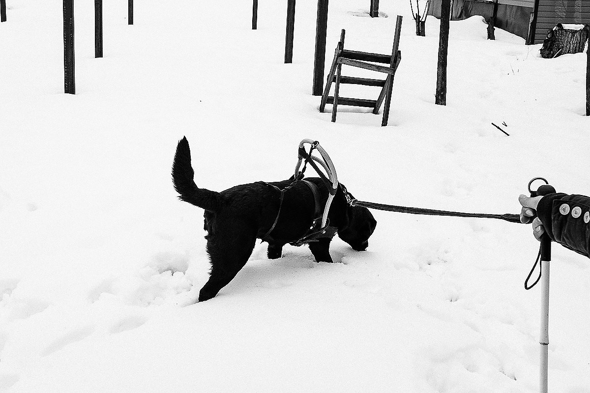 Уличная и жанровая фотография | Виктор Молодцов. Промышленная и репортажная фотография