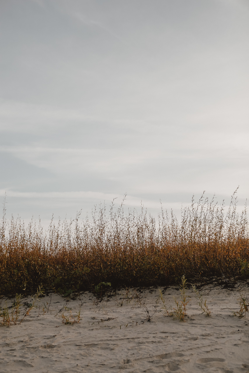 Женя и Света. Семейный и свадебный фотограф в Нижнем Новгороде
