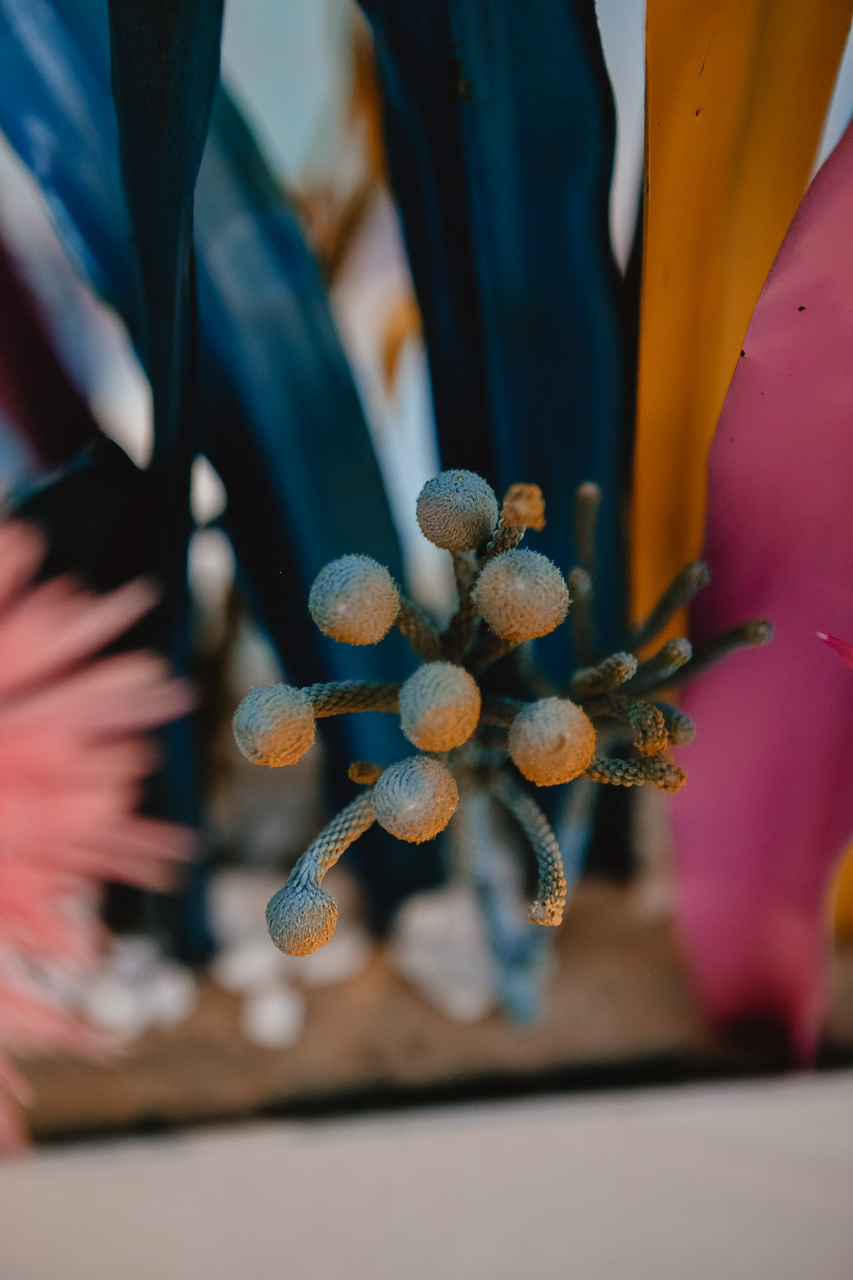 Анюта. Семейный и свадебный фотограф в Нижнем Новгороде