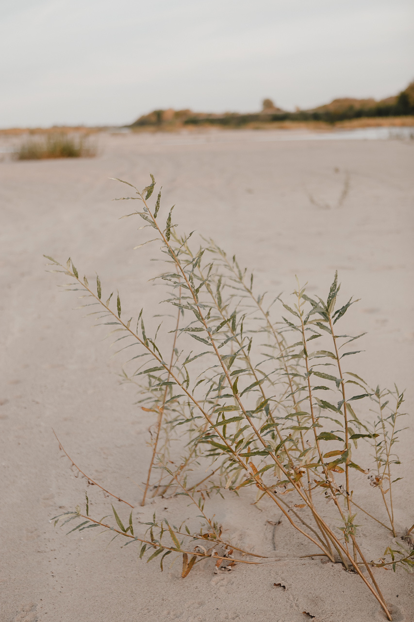 Женя и Света. Семейный и свадебный фотограф в Нижнем Новгороде
