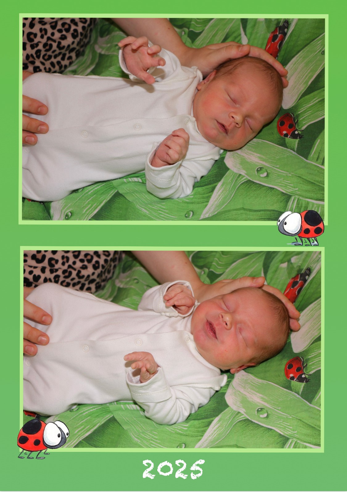 Выписка из роддома. Семейный и детский фотограф в Ялте Ольга Солерина