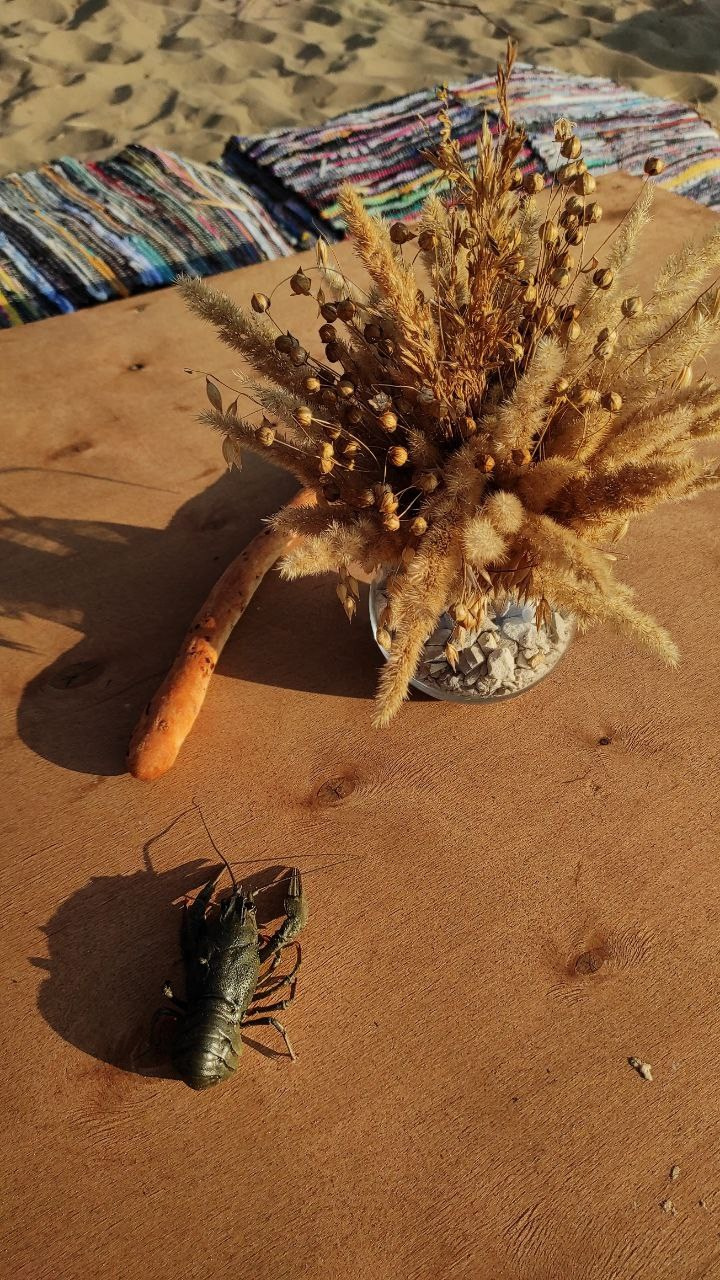 Художественная студия для детей. Изостудия «Мы рисуем!» ♥ Южное Бутово, Москва