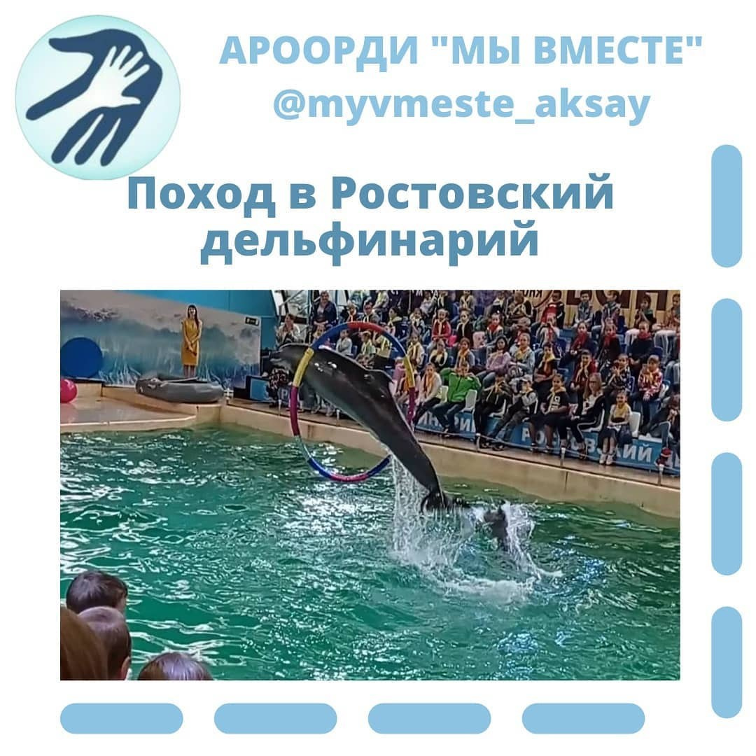 Море восторга в Ростовском дельфинарии!